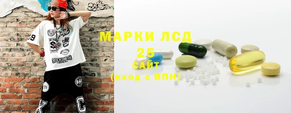 прущие грибы Коряжма