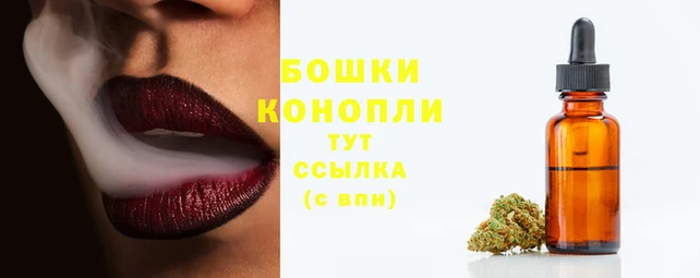 дмт Козловка