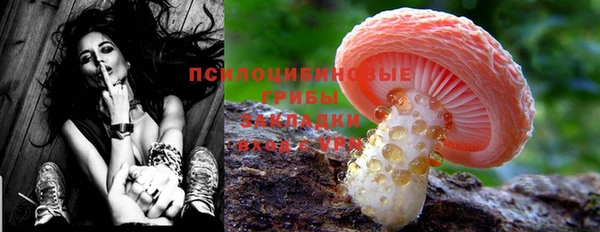 таблы Кодинск