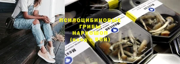 дмт Козловка