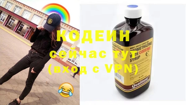прущие грибы Коряжма
