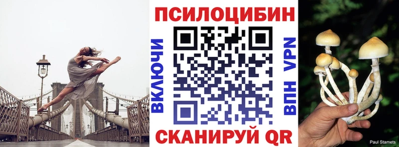 Псилоцибиновые грибы GOLDEN TEACHER  Туран 